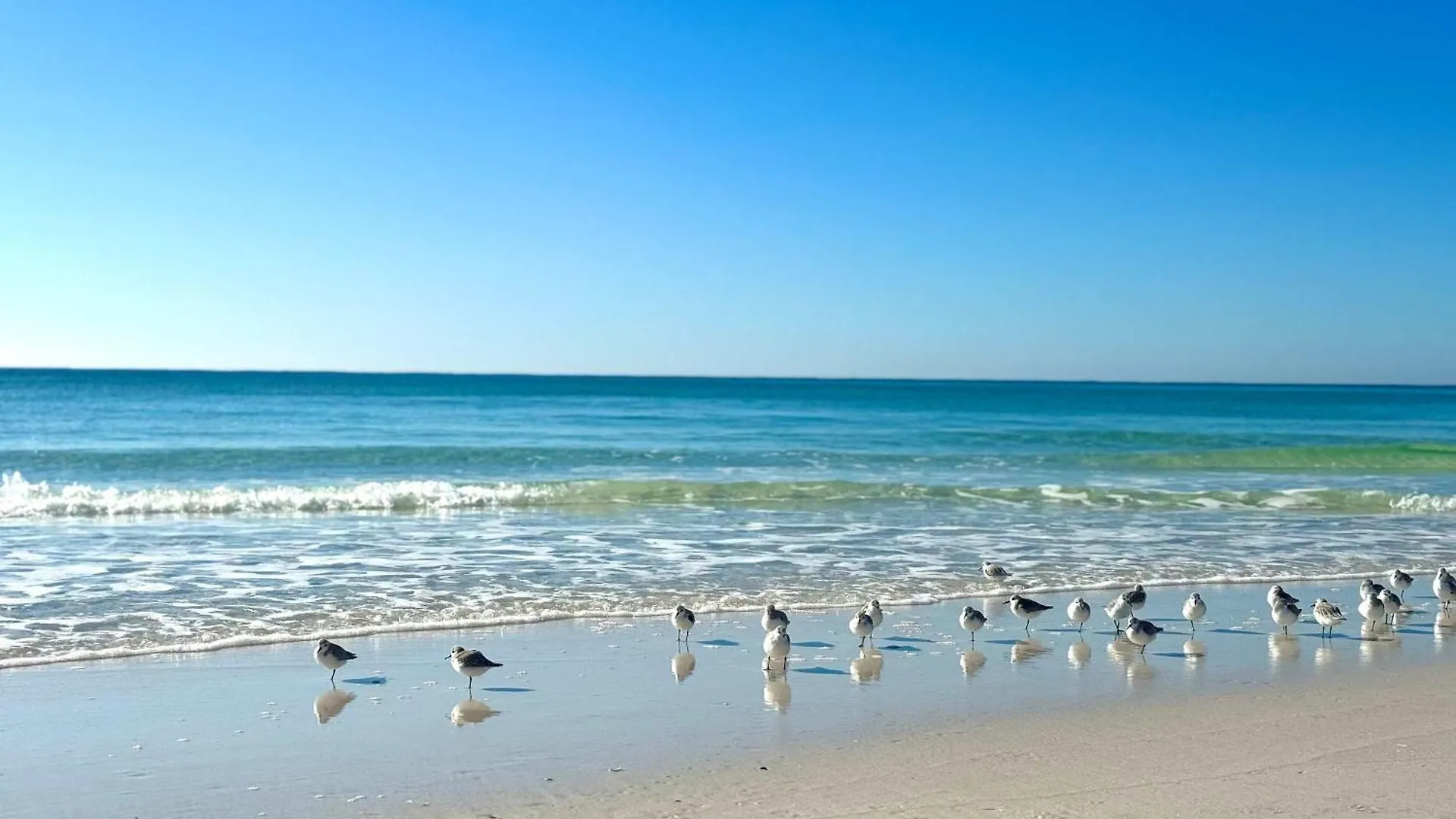 Shelly Sands Heatedpool & Hottub Private Beach Destin 0*,  United States